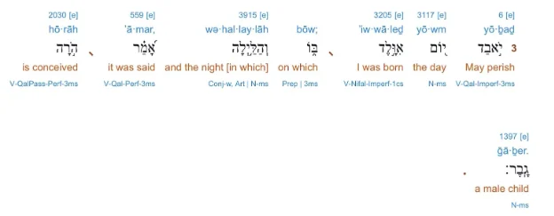 OUT'VE COULD'VE SHOULD'VE Hebrew