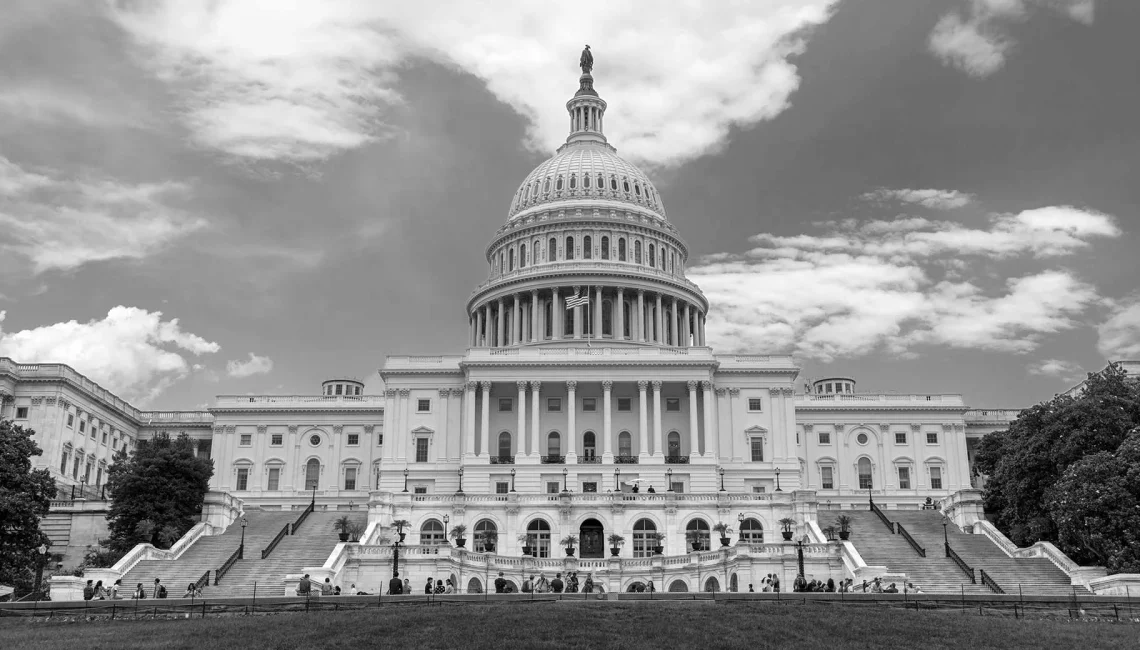 Government